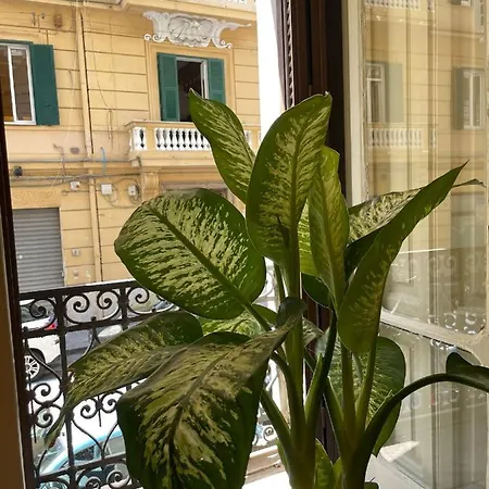 Santa House Naples